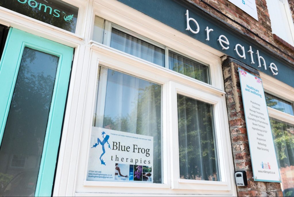 Front door blue frog therapies